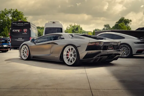 카지노 프랭크 앤 프레드 안드로이드/iOS 앱